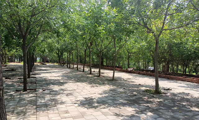 公司承接河南国防教育培训中心园区绿化结算